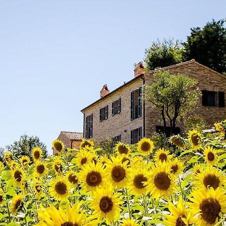 Casavostra - Ambience Suites Ostra Vetere Luaran gambar
