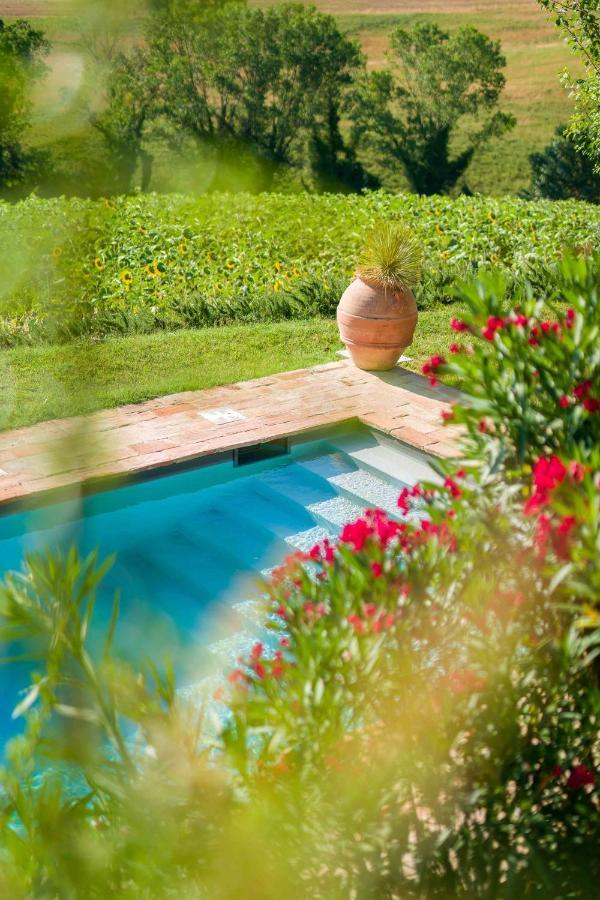 Casavostra - Ambience Suites Ostra Vetere Luaran gambar