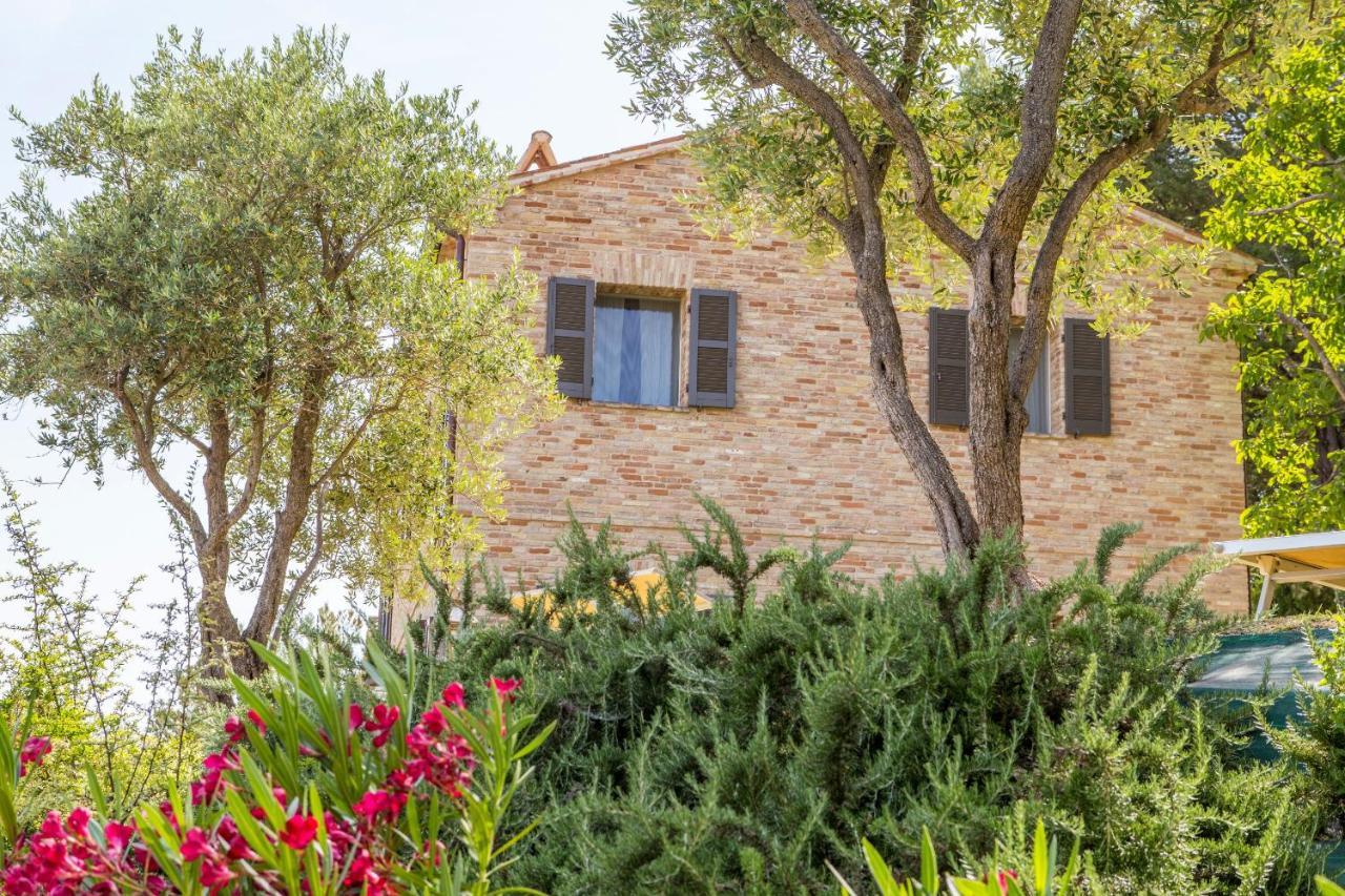 Casavostra - Ambience Suites Ostra Vetere Luaran gambar